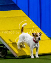 1-18-25-Kathy-W-Seminar-231