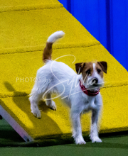 1-18-25-Kathy-W-Seminar-232