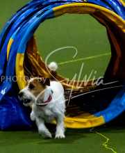 1-18-25-Kathy-W-Seminar-233