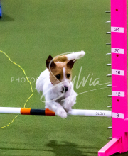 1-18-25-Kathy-W-Seminar-234