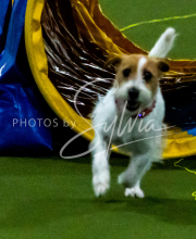 1-18-25-Kathy-W-Seminar-236