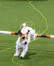 1-18-25-Kathy-W-Seminar-237