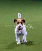 1-18-25-Kathy-W-Seminar-238