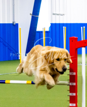 1-18-25-Kathy-W-Seminar-244