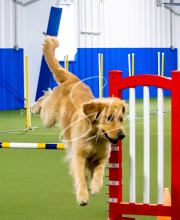 1-18-25-Kathy-W-Seminar-245