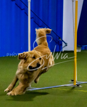 1-18-25-Kathy-W-Seminar-249