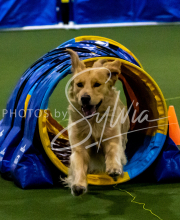 1-18-25-Kathy-W-Seminar-250