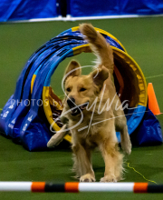 1-18-25-Kathy-W-Seminar-251