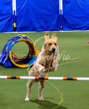 1-18-25-Kathy-W-Seminar-254