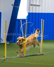 1-18-25-Kathy-W-Seminar-255