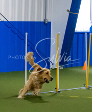 1-18-25-Kathy-W-Seminar-257