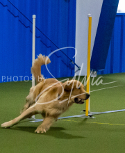 1-18-25-Kathy-W-Seminar-258