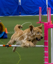 1-18-25-Kathy-W-Seminar-259