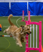 1-18-25-Kathy-W-Seminar-260