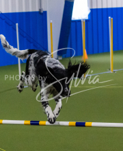 1-18-25-Kathy-W-Seminar-261