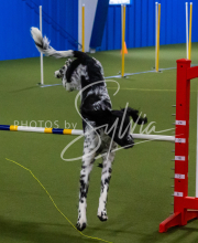 1-18-25-Kathy-W-Seminar-263