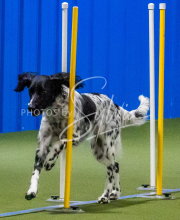 1-18-25-Kathy-W-Seminar-265