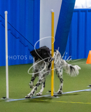 1-18-25-Kathy-W-Seminar-268