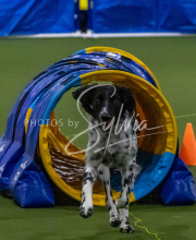 1-18-25-Kathy-W-Seminar-269