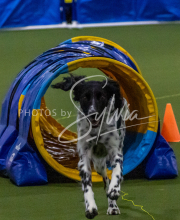 1-18-25-Kathy-W-Seminar-270