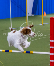 1-18-25-Kathy-W-Seminar-277