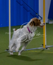 1-18-25-Kathy-W-Seminar-281