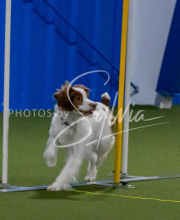 1-18-25-Kathy-W-Seminar-282