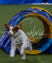 1-18-25-Kathy-W-Seminar-284