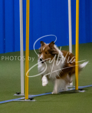 1-18-25-Kathy-W-Seminar-288