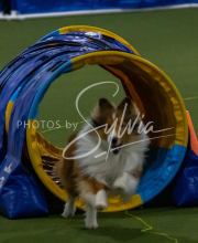 1-18-25-Kathy-W-Seminar-291