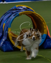 1-18-25-Kathy-W-Seminar-292