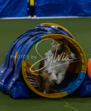 1-18-25-Kathy-W-Seminar-294