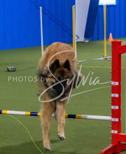 1-18-25-Kathy-W-Seminar-296