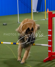 1-18-25-Kathy-W-Seminar-297