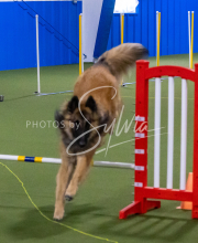 1-18-25-Kathy-W-Seminar-301