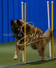 1-18-25-Kathy-W-Seminar-302