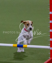 1-18-25-Kathy-W-Seminar-310