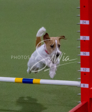 1-18-25-Kathy-W-Seminar-311