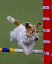 1-18-25-Kathy-W-Seminar-312