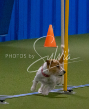 1-18-25-Kathy-W-Seminar-314