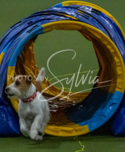 1-18-25-Kathy-W-Seminar-315