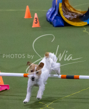 1-18-25-Kathy-W-Seminar-317