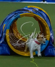 1-18-25-Kathy-W-Seminar-323