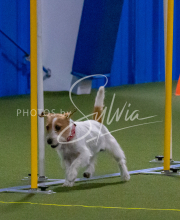 1-18-25-Kathy-W-Seminar-324