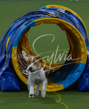 1-18-25-Kathy-W-Seminar-327