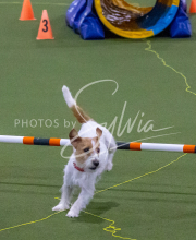 1-18-25-Kathy-W-Seminar-328