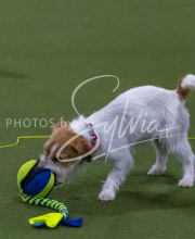 1-18-25-Kathy-W-Seminar-329