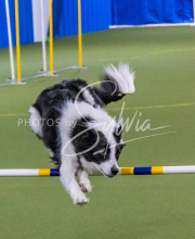 1-18-25-Kathy-W-Seminar-332