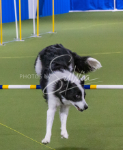 1-18-25-Kathy-W-Seminar-333