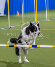 1-18-25-Kathy-W-Seminar-336